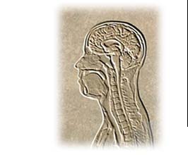 Welcome to Dellanno Chiropractic Center Online